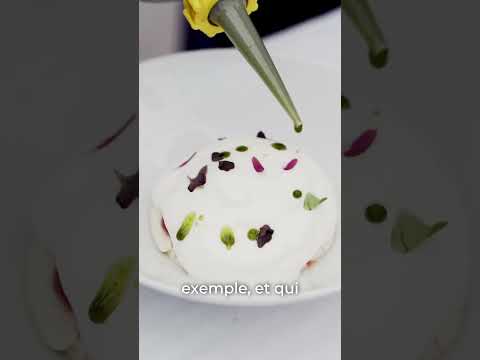 Collections Végétales 2025 - Le déjeuner des Chefs