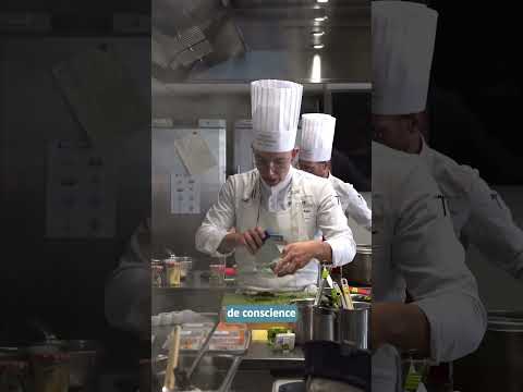 Paroles de Jurys - Concours 2026 la Cuisine et la Pâtisserie Durable