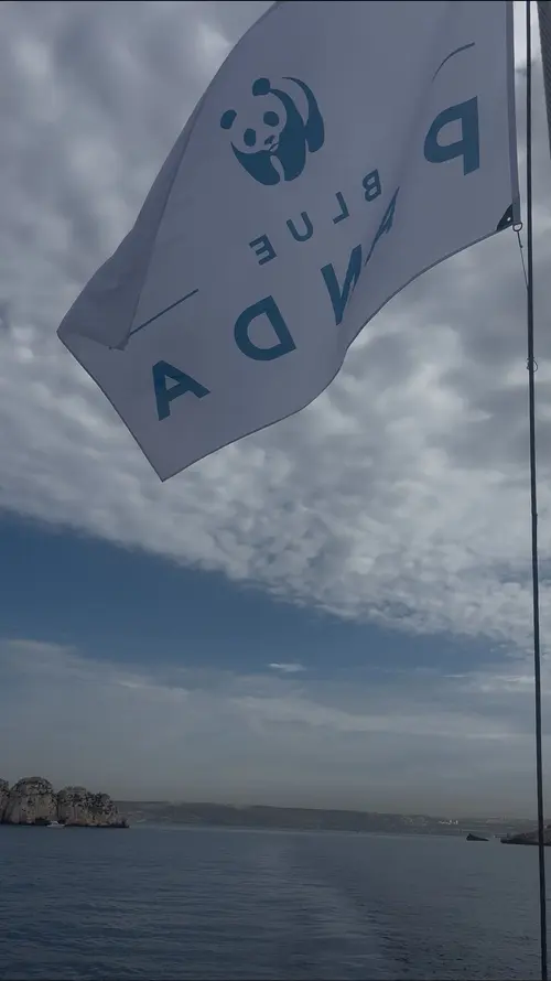 drapeau