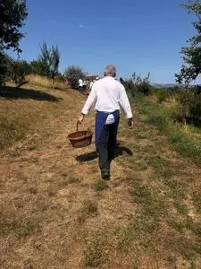 chef au potager