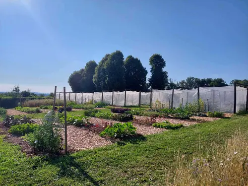 serres