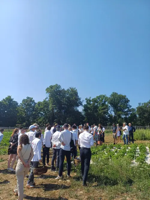 potager