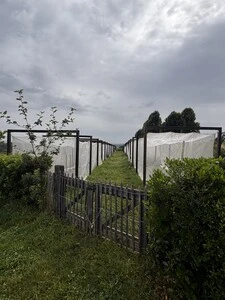 serres