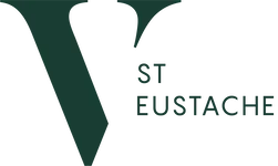 LOGO VSE PNG (1).png