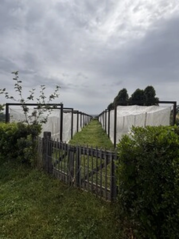 serres