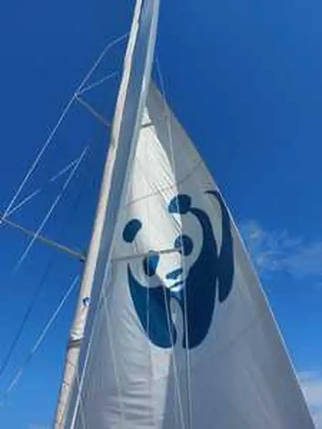Voile