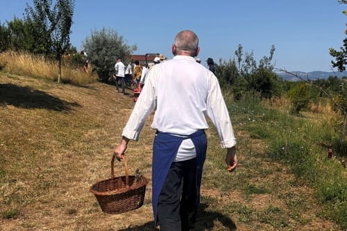 chef au potager